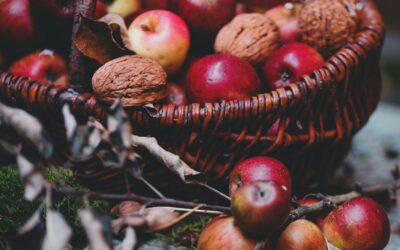 Tucking the Garden In: Late Fall Landscaping Tips