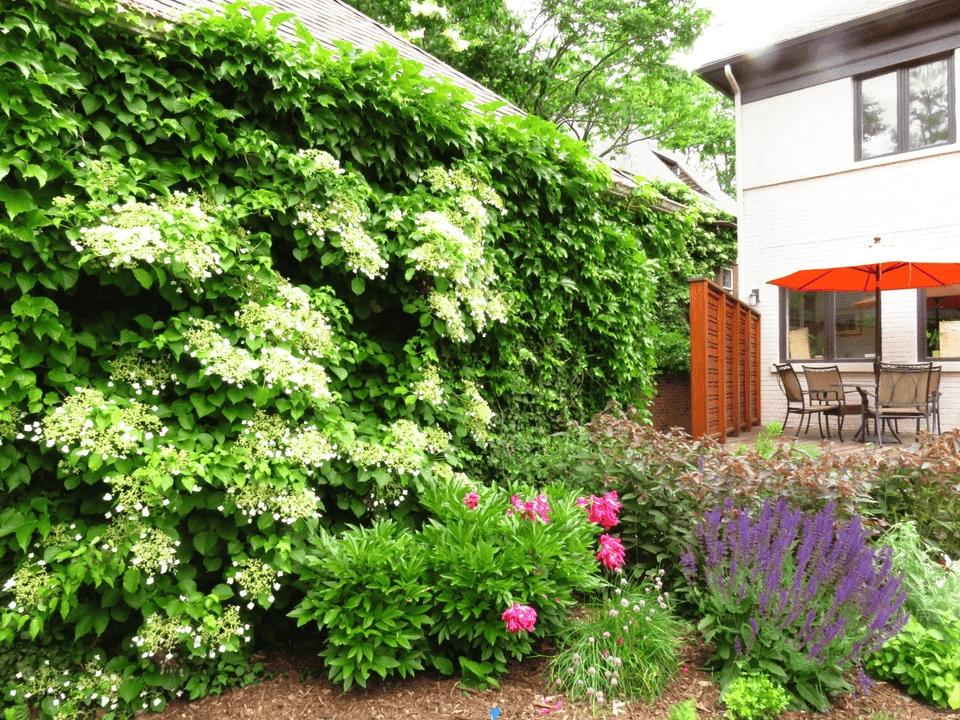 garden-960x720-1